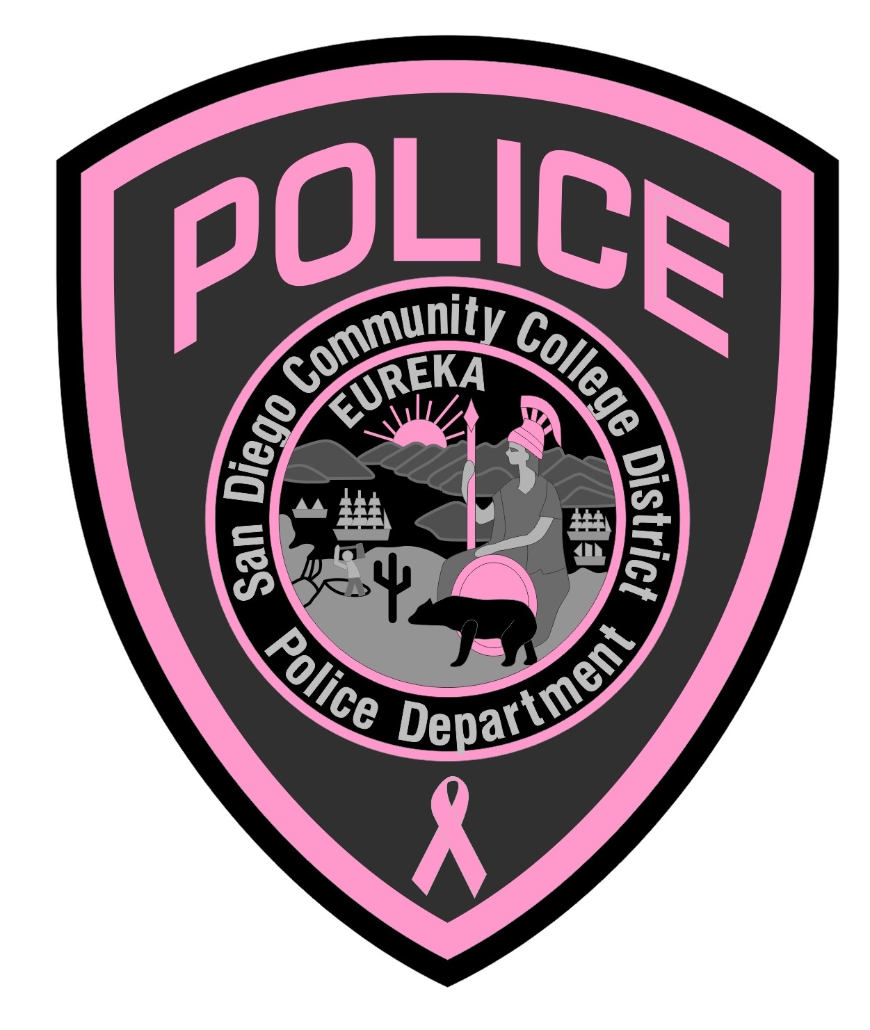 San Diego Community College District Police PINK P